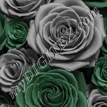 Colour:B