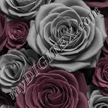 Colour:C