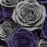 Colour:D