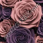 Colour:J