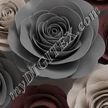 Colour:A