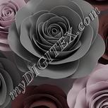 Colour:B
