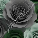 Colour:C