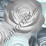 Colour:F