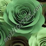 Colour:K
