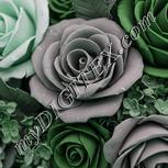 Colour:C