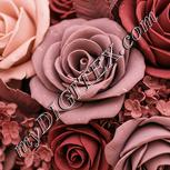 Colour:J