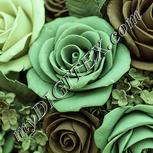 Colour:K