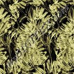 Colour:F