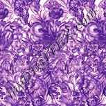 Colour:J