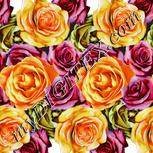 Colour:A