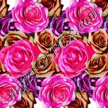 Colour:B