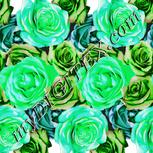 Colour:C