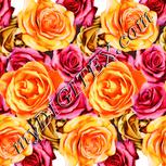 Colour:J