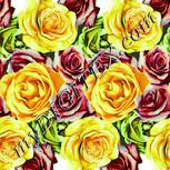Colour:K