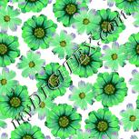 Colour:D