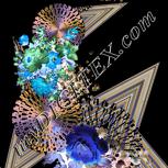 Colour:F
