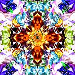 Colour:F
