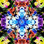 Colour:J
