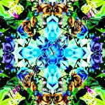 Colour:K