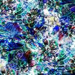 Colour:F