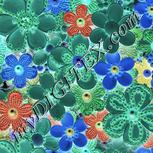 Colour:F
