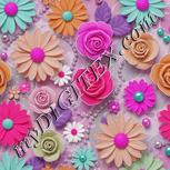 Colour:B