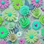 Colour:C