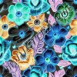 Colour:F