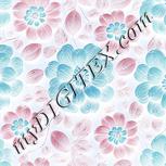 Colour:F