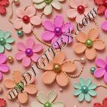 Colour:B