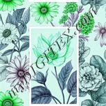 Colour:C