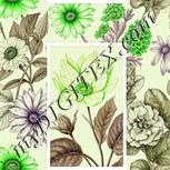 Colour:D