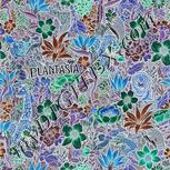Colour:F