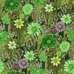 Colour:D