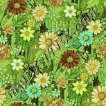 Colour:K