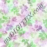 Colour:C