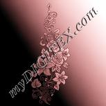 Colour:J