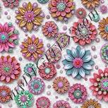 Colour:B