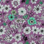 Colour:C