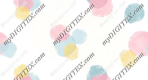 EBE 0004080