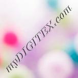 Colour:B