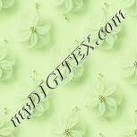 Colour:K
