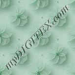Colour:C