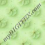 Colour:K