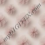 Colour:A