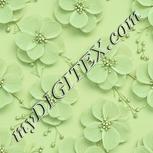 Colour:K