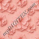 Colour:J