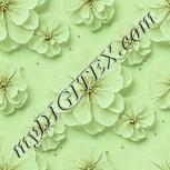 Colour:K