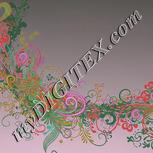 Colour:B